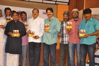 Tanu Nenu Mohammad Rafi Audio Launch